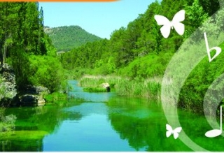 Campamento de naturaleza